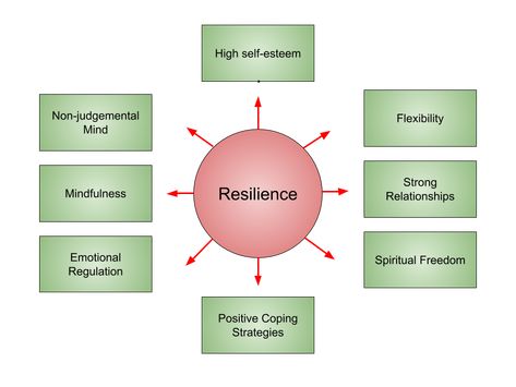 The Elements of Emotional Resilience Resilience Activities, Counselling Tools, Resilience Quotes, Spiritual Freedom, Group Counseling, It Training, Training Exercises, Emotional Resilience, Interpersonal Relationship