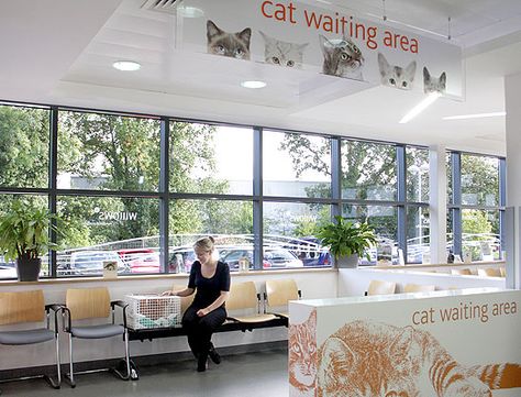 Willows Cat Waiting Area Waiting Room Design Reception Areas, Cat Waiting, Vet Practice, Waiting Room Design, Vet Hospital, Room Signage, Building Design Plan, Hospital Logo, New Hospital