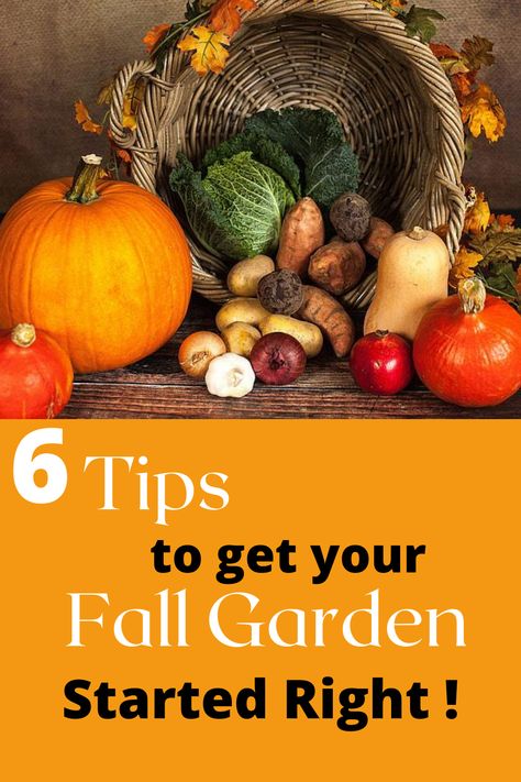 There are so many reasons to start a fall garden ! Enjoying fresh produce is always a benefit. The milder weather can mean a world of difference in the quality and productive time you spend tending the garden. Thanksgiving Hostess Gift Basket, Fall Hostess Gift Ideas, Thanksgiving Hostess Gift Ideas, Gift Ideas For Thanksgiving, Drink Basket, Fall Hostess Gifts, Thanksgiving Gift Basket, Thanksgiving Baskets, Ideas For Thanksgiving