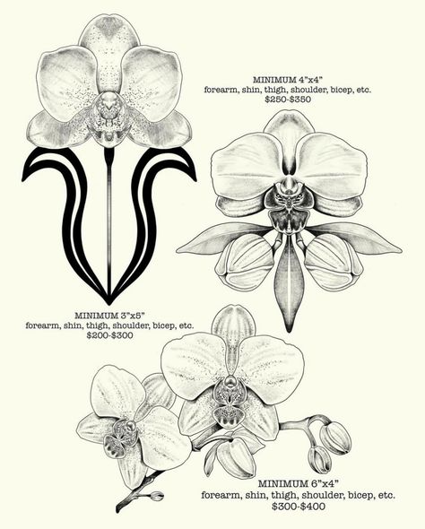 thank u @never.stop.exploring89 for getting this piece from my orchid/botanical flash!!! MORE BOTANICAL STUFF PLS <3 #botanical #botanicaltattoo #orchid #orchids #orchidtattoo #blackandgreytattoo #blackandgreytattoos #coloradoartist #coloradotattooartist #multimediaartist Orchid Chest Tattoo, Orchid Anatomy, Orchid Outline, Jamie Tattoo, Orchids Tattoo, Orchid Flower Tattoos, Orchid Drawing, Engraving Projects, Orchid Tattoo