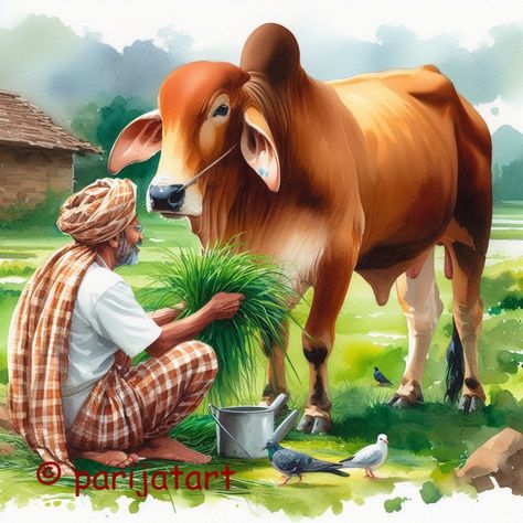 Indian Agriculture Painting, Farmer Painting, Indian Drawing, Bal Krishna Photo, Cow Illustration, Human Figure Sketches, Men Health, Colors Painting, Bal Krishna