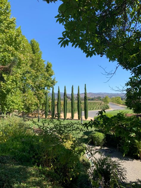 Sonoma Aesthetic, Napa California Aesthetic, Napa Valley Aesthetic, Napa Aesthetic, Blake Aesthetic, Napa Vineyards, Woodside California, Meredith Blake, California Vineyards