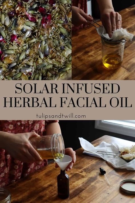 Create solar infused herbal facial oil at home. Don't you love natural DIY beauty products? The perfect addition to your skincare routine. Face Oil Recipe, Homemade Toiletries, Herbal Facial, Product Skincare, Diy Beauty Products, Herbal Education, Natural Cleaning Recipes, Natural Body Butter, Simple Farmhouse