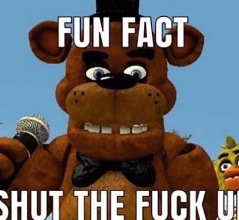 Fnaf Memes, Fnaf Funny, Fnaf Stuff, Reaction Images, Reaction Memes, What’s Going On, Really Funny Pictures, Haha Funny, Funny Me