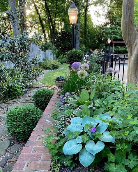 Flower Garden Ideas, Japanese Painted Fern, Hosta Varieties, Ferns Garden, Hosta Gardens, Garden Plan, Shade Perennials, Garden Design Ideas, Garden Pathway