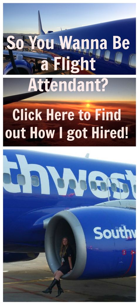 Southwest Airlines Flight Attendant, Cabin Crew Jobs, Become A Flight Attendant, Airline Jobs, Emirates Cabin Crew, Flight Attendant Life, Southwest Airlines, Vacation Deals, Future Jobs