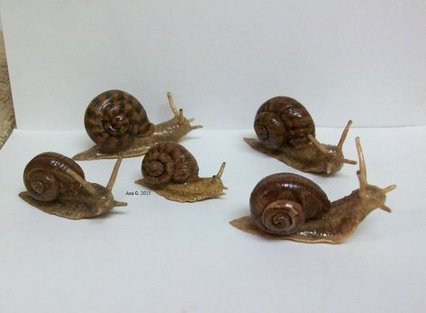 Polymer Clay Snail Tutorial, Polymer Clay Snails, Polymer Clay Diorama, Clay Snails, Polymer Clay Snail, Forest Academia, Secret Library, Clay Inspo, Cute Polymer Clay