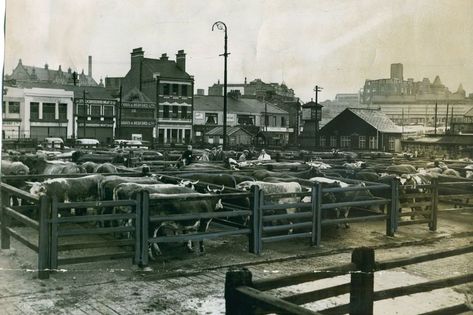 Cattle Market, Newcastle, 1954, with the Lloyds Bank building in the middle of the photograph 50s Childhood, John Dillinger, Lloyd Banks, Lloyds Bank, Bank Building, Bonnie And Clyde, Banks Building, Bank Robbery, Photography Themes