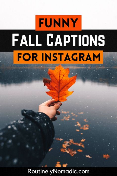 Person holding up fall leaf with funny fall captions for Instagram Fall Humor Quotes, Funny Fall Pictures, Funny Fall Quotes Autumn, Fall Instagram Captions Funny, Fall Couple Quotes Instagram, Fall Instagram Captions With Friends, Ready For Fall Quotes Funny, Funny Fall Quotes Autumn Hilarious, Leaf Captions For Instagram