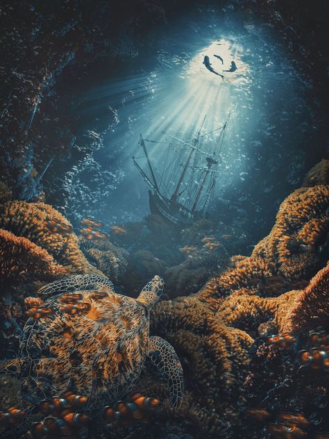 Matte Painting- Shipwreck, Erica Grenci on ArtStation at https://www.artstation.com/artwork/Eavz0A Underwater Shipwreck Art, Under The Ocean Art, Siren Shipwreck, Shipwreck Aesthetic, Fantasy Ocean Art, Shipwreck Drawing, Shipwreck Painting, Shipwreck Underwater, Shipwreck Art