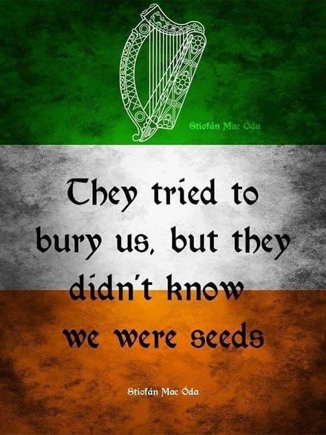 Irish Blessing Quotes, Irish Words, Ireland History, Irish Accent, Irish Proverbs, Moon Quotes, Irish Gaelic, Irish Quotes, Old Irish