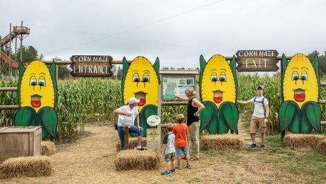 Corn Bin Ideas, Maze Entrance, Farm Vbs, Farm Market Ideas, Corn Party, Farm Tourism, Agritourism Farms, Corn Festival, Pumpkin Patch Farm