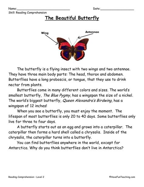 This Reading Comprehension Worksheet - The Beautiful Butterfly is for teaching reading comprehension. Use this reading comprehension story to teach reading comprehension. Third Grade Reading Comprehension, Free Reading Comprehension Worksheets, Worksheets For Grade 1, 2nd Grade Reading Comprehension, Reading Comprehension Practice, First Grade Reading Comprehension, Teaching Reading Comprehension, Reading Comprehension Kindergarten, About Butterfly