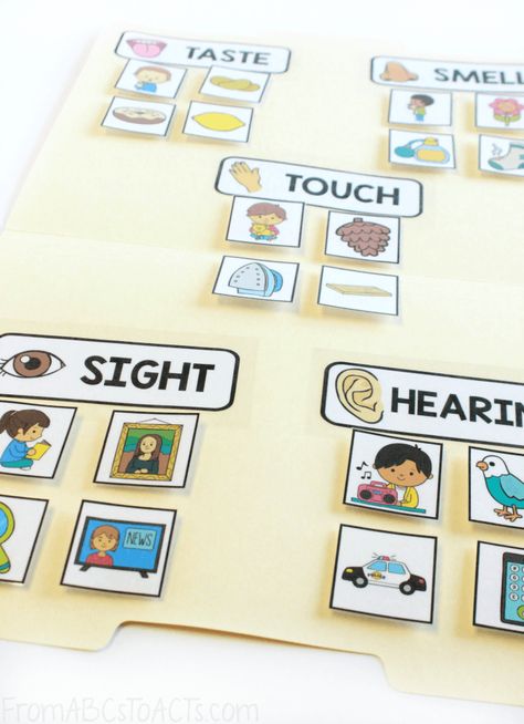 5 Senses Sorting Game (From ABCs to ACTs) Science Activities For Kindergarteners, Folder Games For Toddlers, Activities For Kindergarteners, 5 Senses Preschool, Science Gifts For Kids, Five Senses Preschool, Kindergarten Science Activities, 5 Senses Activities, Game Crafts