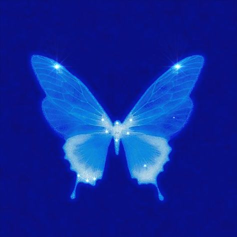 Blue Butterfly Icon, Glowing Blue Butterfly, Blue Butterfly Aesthetic, Butterfly Pfp, Blue Pfp, 2000s Icons, Blue Aesthetic Dark, Cute Blue Wallpaper, Aura Colors