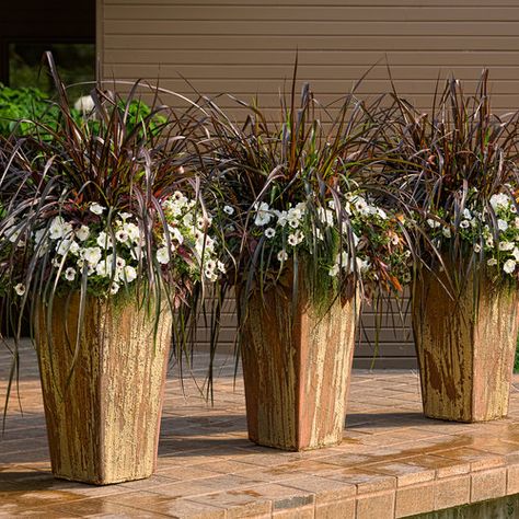 Summit Ridge | Proven Winners Fall Container Plants, Large Outdoor Planters, Fall Container Gardens, Fall Containers, Fountain Grass, Fall Planters, Patio Planters, Flower Pots Outdoor, Garden Containers