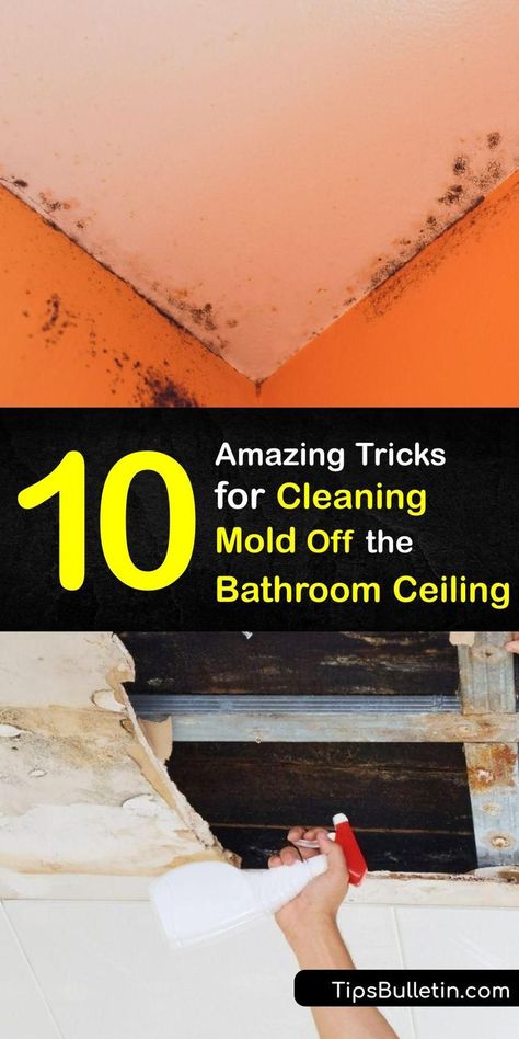 Whether you have tile or a popcorn ceiling, bathroom mold removal doesn’t have to be hard. Mold remediation halts mold growth and removes harmful mould spores. Clean mold with a DIY cleaner or white vinegar, and say goodbye to bathroom ceiling mold. #remove #mold #bathroom #ceiling Cleaning Mold Off Walls Bathroom, Mould Cleaner Diy, Mold Remover Bathroom Ceiling, How To Remove Mold From Bathroom Ceiling, Bathroom Ceiling Mold Removal, Remove Mold From Ceiling Bathroom, Cleaning Mold Off Bathroom Ceiling, Shower Mold Remover Diy, How To Clean Mold