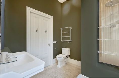 Sherwin Williams undefined SW 9524 bathroom Crooked River Sherwin Williams, Sherwin Williams Paint Neutral, Neutral Paint Colors, Sherwin Williams Paint Colors, Neutral Paint, Home Pictures, Green Paint, Coordinating Colors, Sherwin Williams