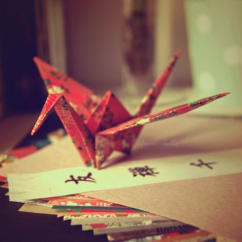 Origami Objects, Cranes Origami, 1000 Paper Cranes, Buddha Nature, Kalluto Zoldyck, Wrapping Paper Packaging, Its A Wrap, Spiritual Garden, Japanese Life