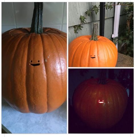 tiny-pumpkin-face Funny Pumpkin Carvings, Cute Pumpkin Carving, Creative Pumpkin Carving, Halloween Pumpkin Designs, Creative Pumpkins, Funny Pumpkins, Halloween Pumpkins Carvings, Memes Humor, Cute Pumpkin