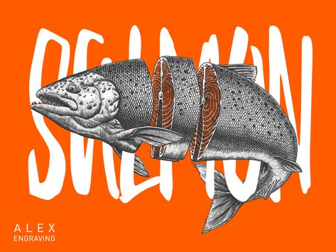 Behance :: Para ti Interactive Web Design, Fruit Wall Art, Fish Graphic, Ticket Design, Aquarium Design, Dog Logo, Branding Graphic Design, Restaurant Branding, Chalk Art