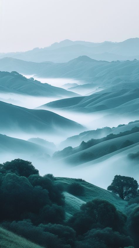 Misty Mountain Layers: Serenity unfolds in the blue-tinted mist that gently veils the rolling mountain landscape at dawn. #mist #mountains #landscape #dawn #serenity #aiart #aiphoto #stockcake ⬇️ Download and 📝 Prompt 👉 https://ayr.app/l/FqfQ Mountain Layers, Foggy Mountains, Mountain Silhouette, Misty Mountain, Serenity Blue, Mountains Landscape, Fish Illustration, Night Landscape, Night Scene