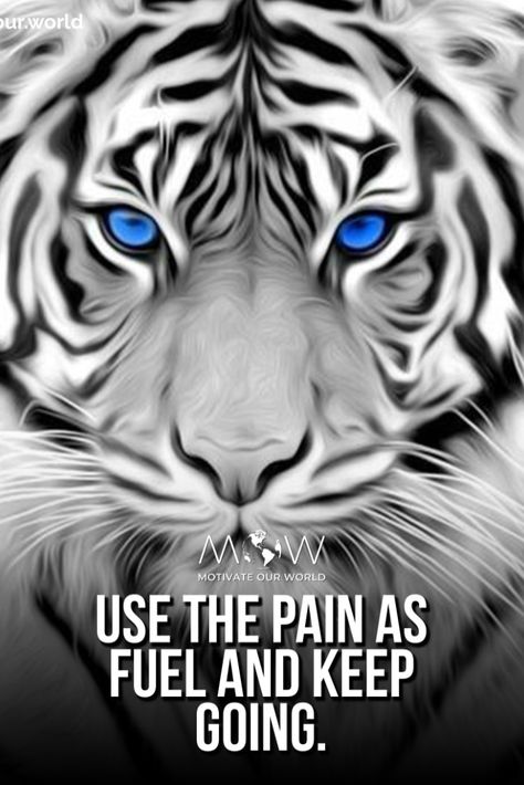 Tiger Quotes Inspiration Strength, Warrior Quotes Inspiration, Tiger Quotes Inspiration, Lion Background, Buddhism Beliefs, Tiger Quotes, Work Vision Board, Wild Animal Wallpaper, Dreamcatcher Wallpaper