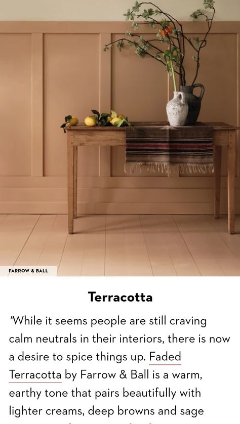 Apricot Painted Walls, Apricot White Paint Wall Colors, Terracotta Entryway, Apricot Living Room Walls, Pale Terracotta Paint, Apricot Paint Color, Farrow Ball Faded Terracotta, Paint Farrow And Ball, Cream Paint Colors