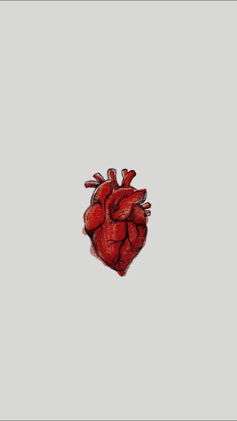 Heart Organ, Anatomical Heart Art, Medical Wallpaper, Heart Anatomy, Heart Drawing, Medical Art, Medical Aesthetic, Human Heart, Tumblr Wallpaper