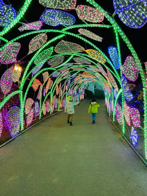 Beautiful lights at the Garden of Morning Calm! #garden #lights #gardenlighting #korean #smallyoutuber Hot Pink Wedding Shoes, Calm Garden, Christmas Arch, Kali Hindu, Entrance Decoration, Light Tunnel, Trip With Friends, Skiing Lessons, Hot Pink Weddings