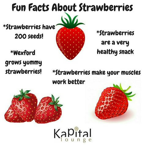 Fun facts about #strawberries   #KapitalLounge #manalicalling #naan #bread #Manali #indiancuisine #food #restaurant #foodie #foodlovers #manalicalling #foodporn #goodfriends #foodphotography #indiancuisine #spices #kullu #himachal #kasol #india #soulfood #followforfollow #fingerlickinggood #manaliinn #mountain #travellust #wanderlust #foodtips #foodguide Strawberry Facts, Strawberry Social, Strawberry Health Benefits, Strawberry Things, Diwali Craft, Naan Bread, Strawberry Milk, Food Restaurant, Food Guide