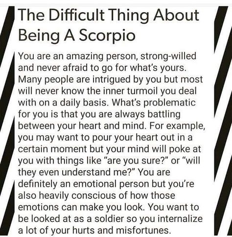 All About Scorpio, Zodiac Quotes Scorpio, Astrology Scorpio, Scorpio Traits, Scorpio Love, Scorpio Zodiac Facts, Scorpio Quotes, Zodiac Signs Scorpio, Scorpio Season