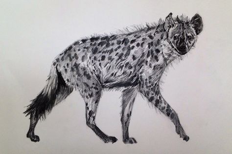 Hyena Sophie Standing, Hyena Art, Hyena Tattoo, Textile Embroidery, Wicked Tattoos, Embroidered Art, Scientific Illustration, Hyena, Art Textile