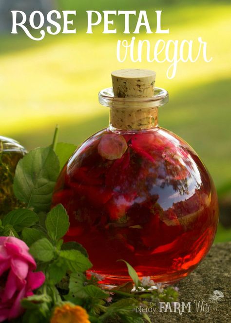 Rose Petal Recipes, Infused Vinegars, Edible Flowers Recipes, Soap Inspiration, Fresh Rose Petals, Rose Recipes, Diy Rose, Herbal Recipes, Infused Oils