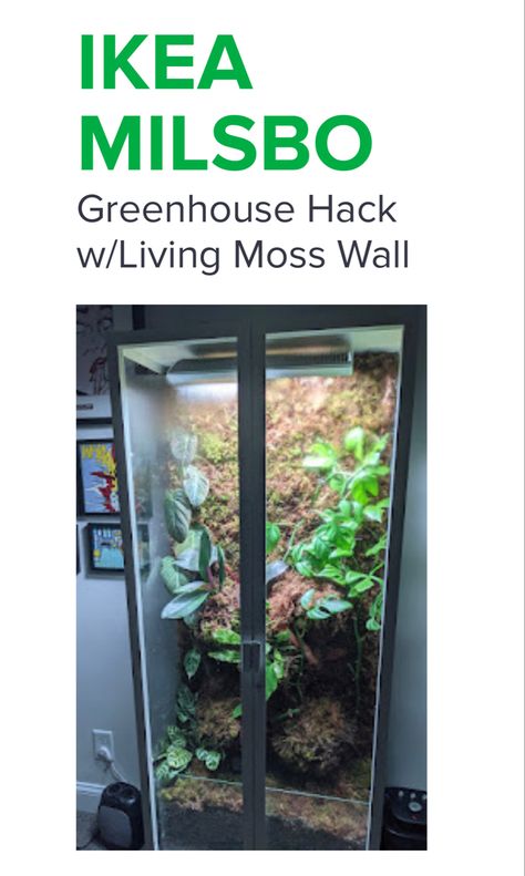 Milsbo Greenhouse, Ikea Rudsta, Ikea Milsbo, Living Moss Wall, Ikea Greenhouse, Ikea Instructions, False Bottom, Types Of Moss, Egg Crates