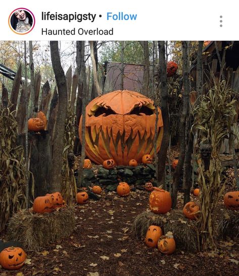 Pumpkin Patch Haunted Hayride, Casa Halloween, Giant Pumpkin, The Creeper, Scary Pumpkin, Halloween Yard, Cabin In The Woods, Theme Halloween, Spooky Pumpkin