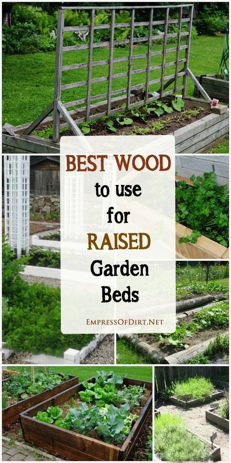 Shed Inspiration, Raised Gardens, Vegetable Garden Raised Beds, Building A Raised Garden, Veg Garden, Garden Care, Garden Boxes, Garden Bed, Flowers Garden