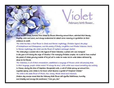 What Flowers Represent Each Month | ... facts about the Violet – February’s flower of the month Birth Symbols, February Birth Flowers, Month Signs, Flower Meanings, Greek And Roman Mythology, Roman Mythology, Violet Flower, Saint Valentine, Different Flowers