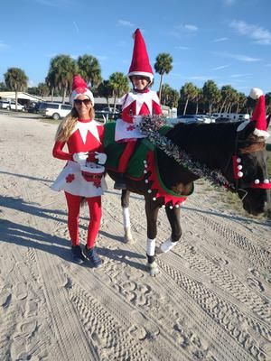 Christmas Horse And Rider Costumes, Horse And Rider Christmas Costume, Horse And Rider Halloween Costumes Diy, Christmas Horse Costumes, Horse Christmas Costume, Horse Halloween Costumes Equestrian, Elf Parade, Horse Fancy Dress, Horse Halloween Costumes