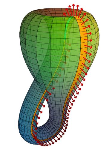 Topology Klein Bottle, Mathematics Art, Mathematics Geometry, Physics Formulas, Astronomy Science, Dimensional Shapes, Geometric Design Art, Math Notebooks, Math Art