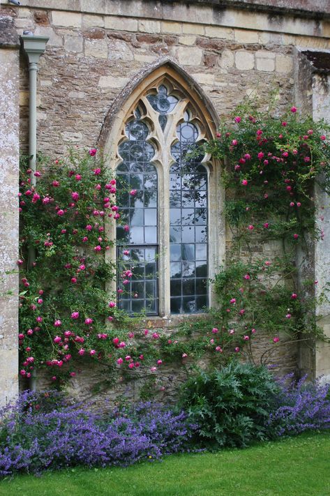 Lacock Abbey, Dark Garden, Dream Castle, Garden Inspiration, Great Britain, Castle, Cabin, House Styles