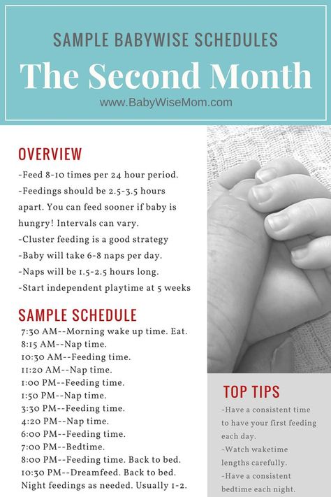 12 Sample Babywise schedules for a 1 month old that were actually used by Babywise moms. Babywise sleep schedule | babywise schedule | babywise schedule newborn | #babywise #babywiseschedule Babywise Schedule, Baby Wise, Baby Schedule, Baby News, Baby Kicking, Newborn Hacks, Pumping Moms, Baby Sleep Problems, Sleep Schedule