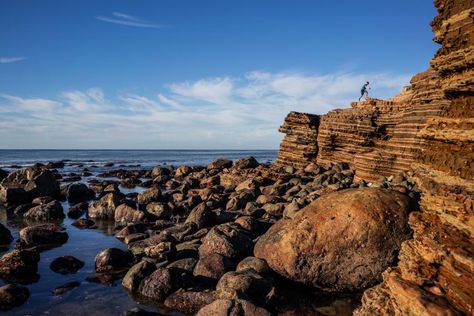 Point Loma San Diego, Cabrillo National Monument, Staycation Ideas, Point Loma, Tide Pools, California Dreaming, California Adventure, National Monuments, Ocean Life