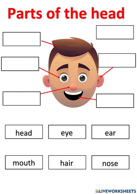 Face Parts Worksheet, Parts Of The Body For Kids Activities, Parts Of The Body For Kids, My Family Activities Preschool, Body Parts Worksheet, Numbers In Words, Circle Worksheet, English Classes For Kids, Body Parts For Kids