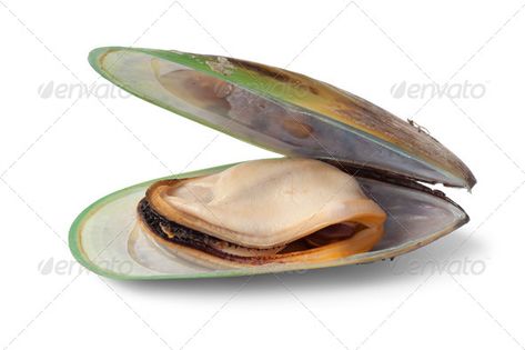 New Zealand green lipped mussel by picturepartners. Fresh cooked Green lipped mussel from New Zealand#lipped, #mussel, #Zealand, #green Green Mussels, Photos Logo, Green Lipped Mussel, Photography Names, Print Designs Inspiration, Free Graphics, Art Logo, Food Photo, Creative Photography