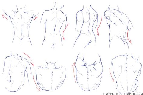 Male Torso Anatomy, Anatomy Tutorial, Male Torso, Body Sketches, Drawing Faces, Hand Reference, 캐릭터 드로잉, Poses References, Anatomy Drawing