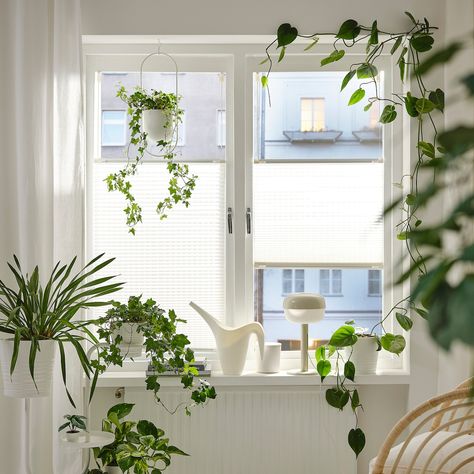 Kitchen blinds ideas above sink