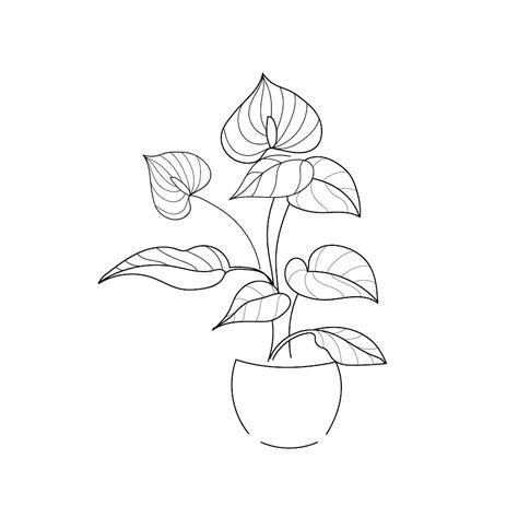 Premium Vector | Vector art illustration drawing line home plant anthurium House Plants Drawing, Anthurium Drawing, Anthurium Tattoo, Pen Magic, Easy Flower Drawings, Flower Journal, Coffee Tattoo, Anthurium Flower, Cactus Drawing