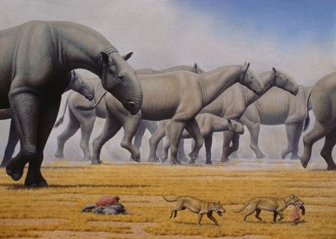 A herd of Paraceratherium crosses the grasslands of Oligocene Mongolia. By Mauricio Anton, from "National Geographic: Prehistoric Mammals" Bull Elephant, Prehistoric Wildlife, Prehistoric World, Ancient Animals, Paleo Art, Extinct Animals, Dinosaur Fossils, Prehistoric Creatures, Science Facts