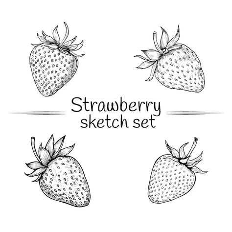 Strawberries isolated hand drawn set | Premium Vector #Freepik #vector Strawberry Drawing Simple, Strawberry Outline, Strawberry Drawings, Tattoo Trio, Strawberry Sketch, Strawberry Logo, Strawberry Vector, Strawberry Drawing, Strawberry Tattoo